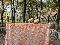 Изображение Изображение