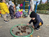 Изображение Изображение